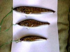 Smallmouth set