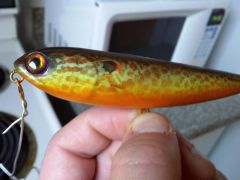 pumpkinseed with my custom designed eyes