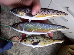 Trout Trio