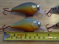 lures fish 018