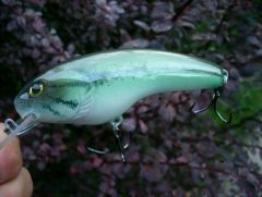 2nd handcaved bait 1st with Lexan lip