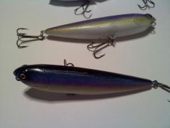 blue shad Top And bottom