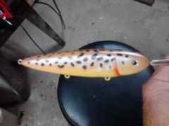 brown trout glider