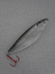 skipjack jigging spoon