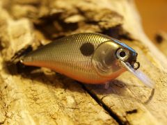Foiled Tennessee Shad 1.5