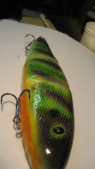 assembled airbrushed fish 1