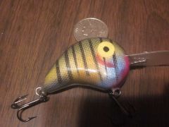 I like playing with bluegill patterns
