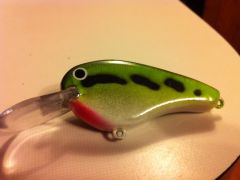 My first Lure