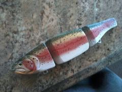 Fuzzy Trout Rainbow