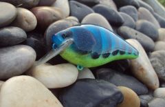 blue/chart craw