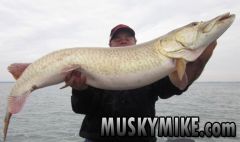 musky12