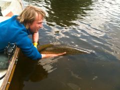 Jp 122cm northern pike release1