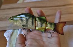 gold leafed perch