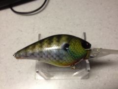 3D Scale Gill