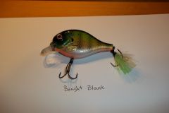 193 0167 bluegill purchased blank