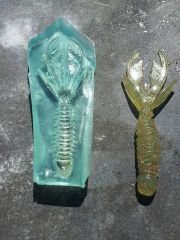 solarez mold2