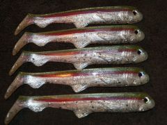 a few rainbow trout colors.