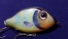 Bluegill