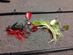 spinnerbait with chatter blade