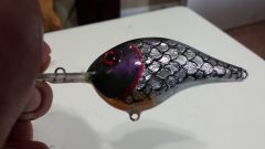 3d scaled rapala DT 16