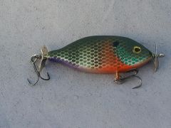 bluegill spybait 1