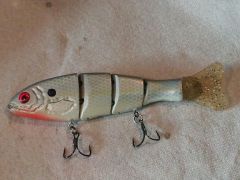 6 inch Sex shad 4