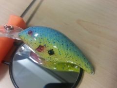 7 5 2013 Crankbait