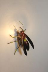 Red wasp 1 1/4" by Nugene