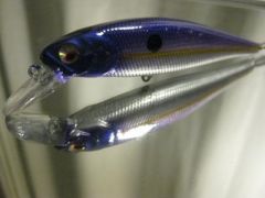 chrome royal shad