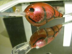 Dt craw