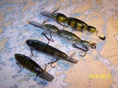 Bombers and Hellbenders 3 inches to 8 inches