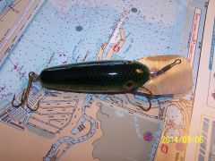Bass Size Bait for Muskie