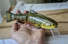return of the tiger trout