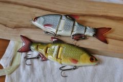 SF roach swimbait