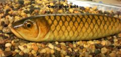 Carp glide bait