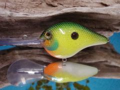 Tropical Shad