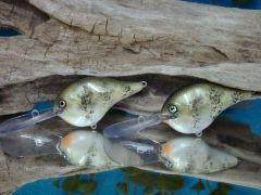 Crappies (Copy)