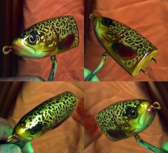 marmored trout, head detail