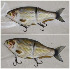 8.5 inches gizzard shad glider. final version