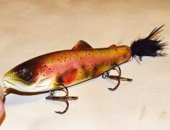 top water glider 8" rainbow trout