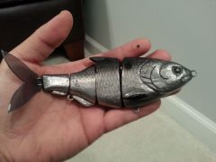 Gizzard shad