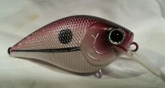 Red Shad 1.5