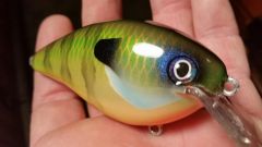 Strike King 8.0 Square Bill in a  Blue Gill