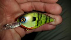 Strike King Flat 1.5 Green Hornet