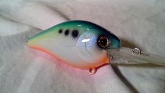 super citrus shad 1.5 MD