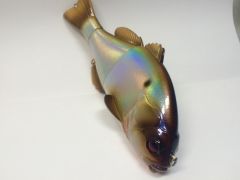 Foiled Gizzard Shad Gantarell