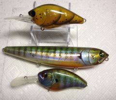 Craw and  Holographic Gill