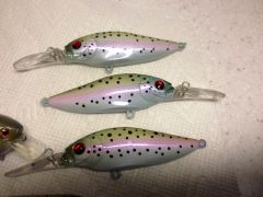 Rainbow Trout Pattern