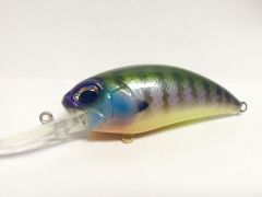 Summer Gill Pattern on Duo Realis Replica