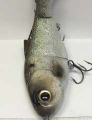 Bull Shad Foiled Gizzard Shad